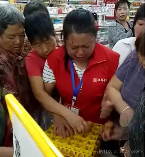 dama 