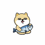 Fissure_Y的个人资料头像