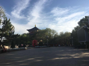 饥渴之人的个人资料头像