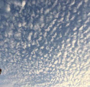 YAND100771的个人资料头像