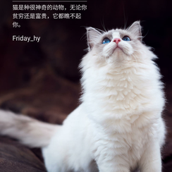 friday_fj于2018-05-20 11:14发布的图片