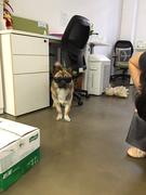 AmberH的个人资料头像