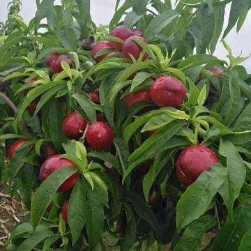 睡不醒丶于2018-05-24 15:11发布的图片