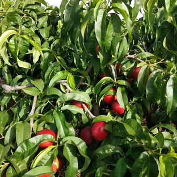 睡不醒丶于2018-05-24 15:11发布的图片