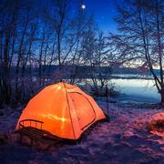 这很賈的个人资料头像