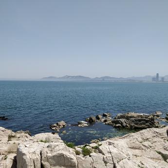 qalong于2018-05-28 07:58发布的图片