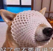 evilwind的个人资料头像