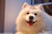 阳光的涟漪的个人资料头像