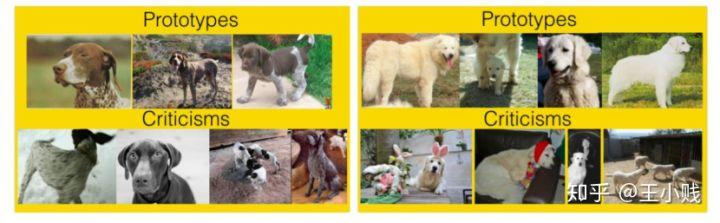 深度学习的可解释性研究(一):让模型「说人话」