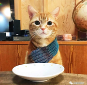 vilogy的个人资料头像