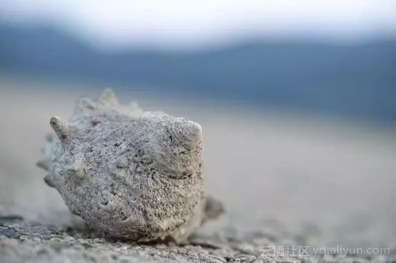 bbf851a391e8e3610714a878ccbc8a85ff36ff1e