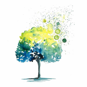 風影的个人资料头像