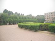 gtjk的个人资料头像