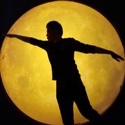 DogJay的个人资料头像