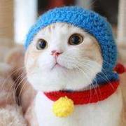 komax的个人资料头像