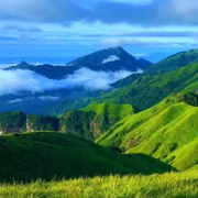 臂化羽的个人资料头像