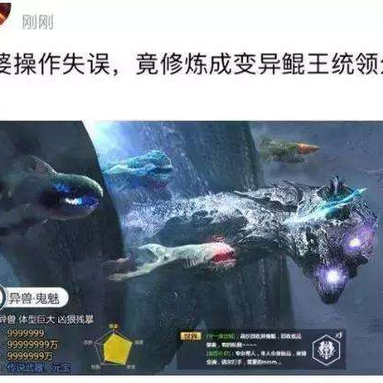 七郎于2018-06-13 04:36发布的图片