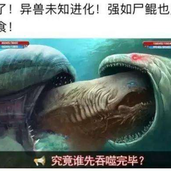 七郎于2018-06-13 04:36发布的图片