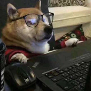 假期程序员的个人资料头像