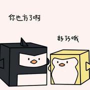 某不知名同学的个人资料头像