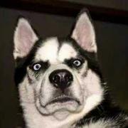 soyo_su的个人资料头像