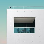 snhc的个人资料头像