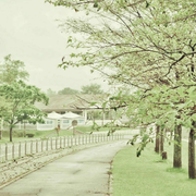 yeweiyamg1224的个人资料头像