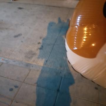 LetHerGo于2018-06-15 20:12发布的图片