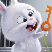 LilleTom的个人资料头像