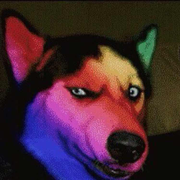 继父爸爸的个人资料头像