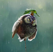 叫什么好呢的个人资料头像