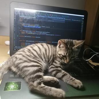 __Roger于2018-06-18 20:40发布的图片