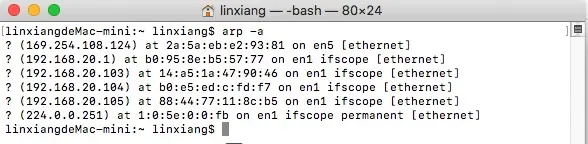 Mac查看ARP缓存