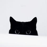 音乐与咖啡Bean的个人资料头像