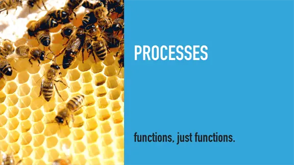 进程 / 蜜蜂