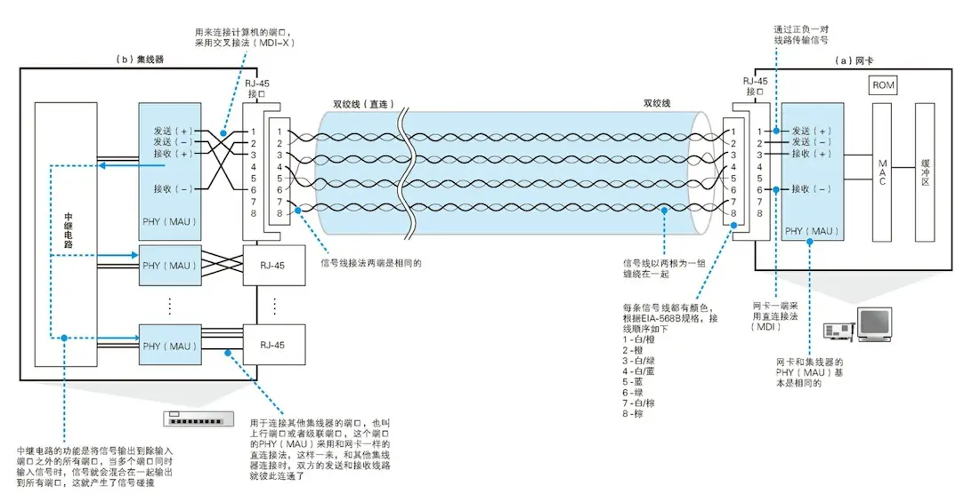 网卡与集线器用双绞线连接的形态