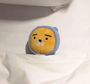 红喜的个人资料头像