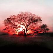 qiuhlee的个人资料头像