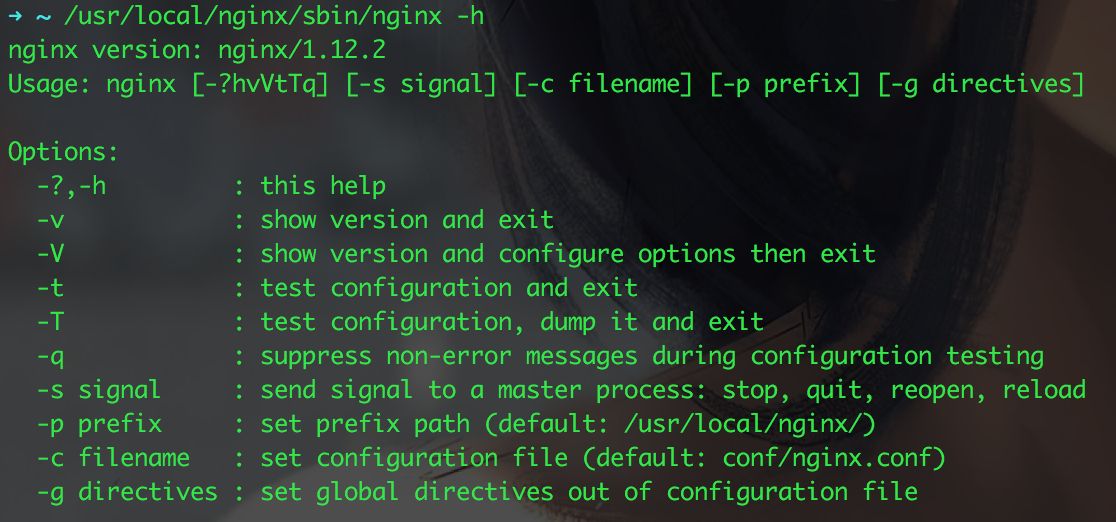 nginx help