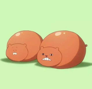 一叶知秋Q的个人资料头像