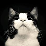 Savings的个人资料头像