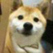 长胖的菜鸟的个人资料头像