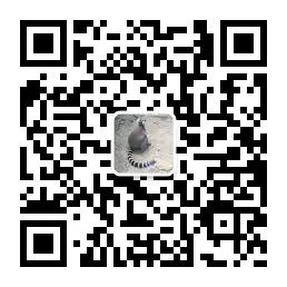 王方钢 | 智叟网络 