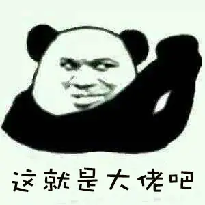 这就是大佬吧