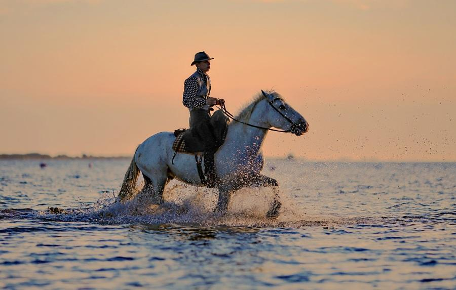 水边骑马.jpg