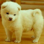 二年级小学生的个人资料头像