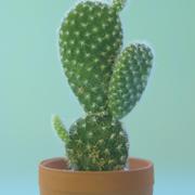 piper18509的个人资料头像