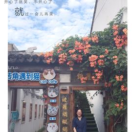 蔓草于2018-06-26 19:50发布的图片