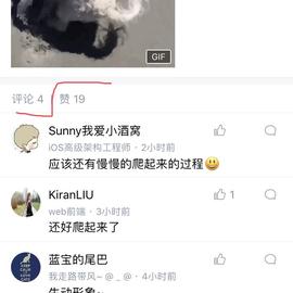 chzm于2018-06-26 23:53发布的图片