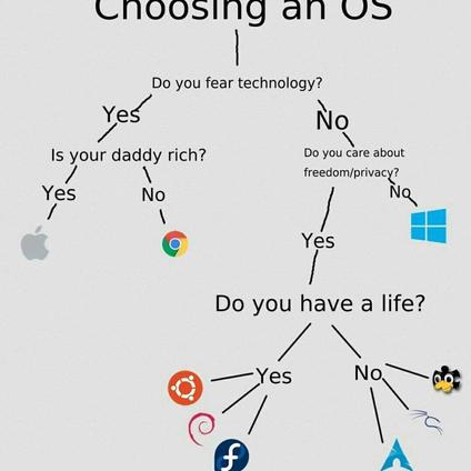 袁滚滚就是我于2018-06-27 00:35发布的图片